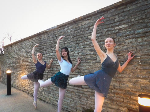 love your leo campaign