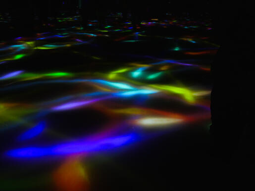 Portfolio Playlist Link